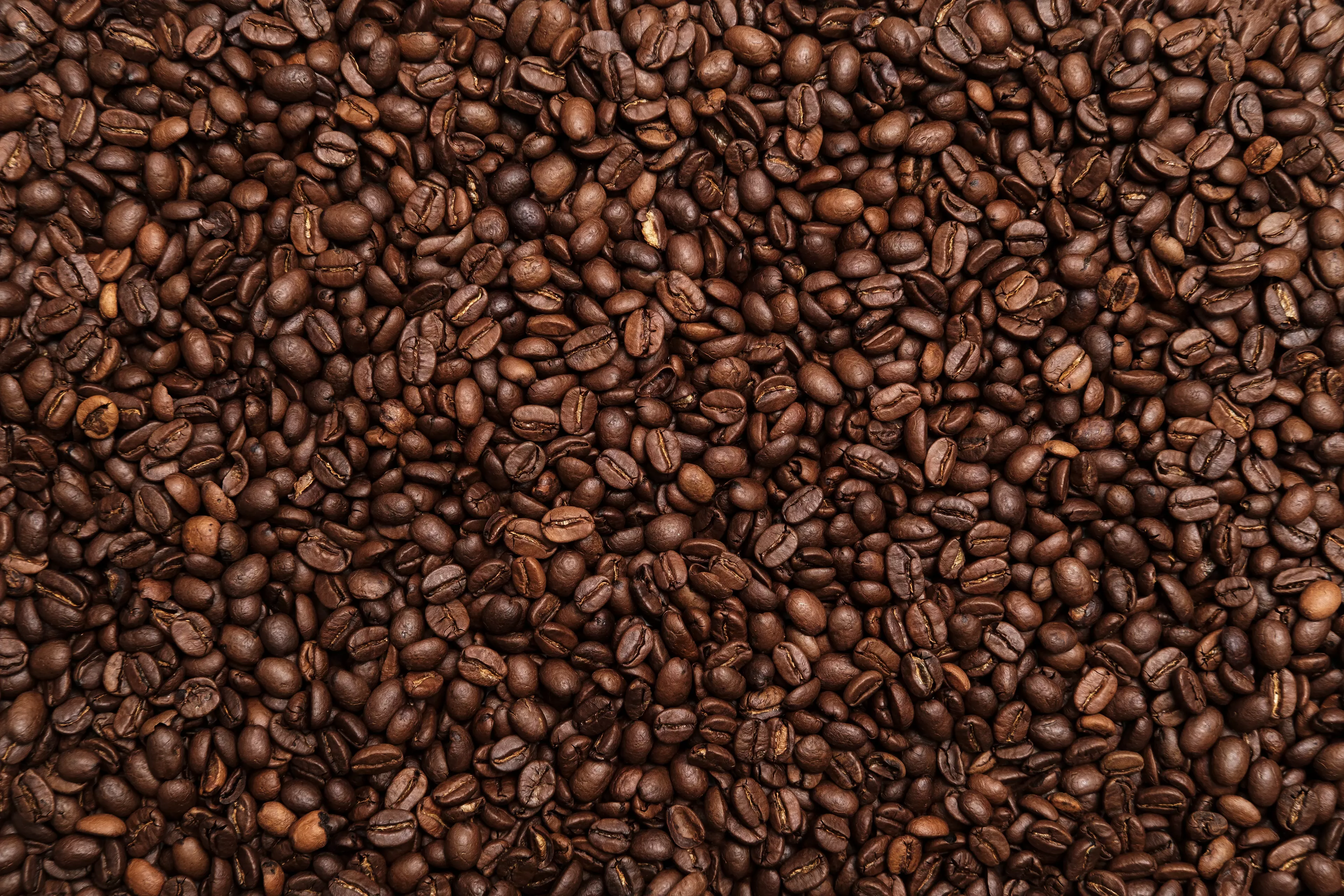 A large amount of coffee beans